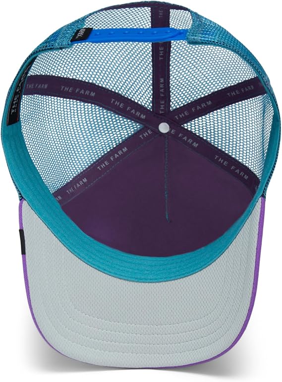 Goorin Hat 101-1933 Turquoise Purple Turquoise Purple N: 00362