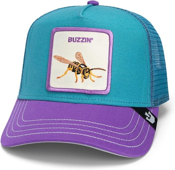 Goorin Hat 101-1933 Turquoise Purple Turquoise Purple N: 00362
