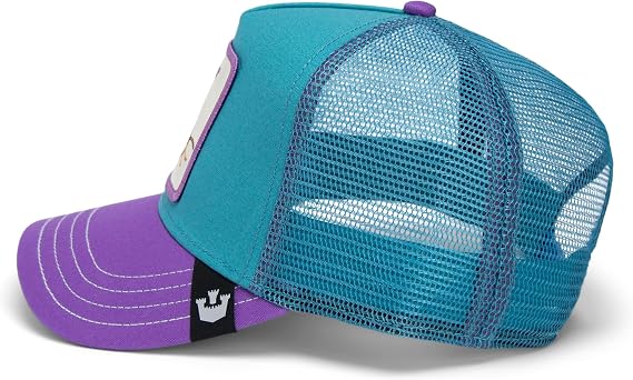 Goorin Hat 101-1933 Turquoise Purple Turquoise Purple N: 00362