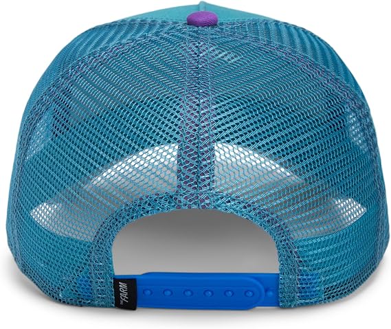 Goorin Hat 101-1933 Turquoise Purple Turquoise Purple N: 00362