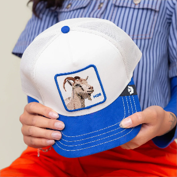 GOORIN BROS SUEDE GOAT TRUCKER