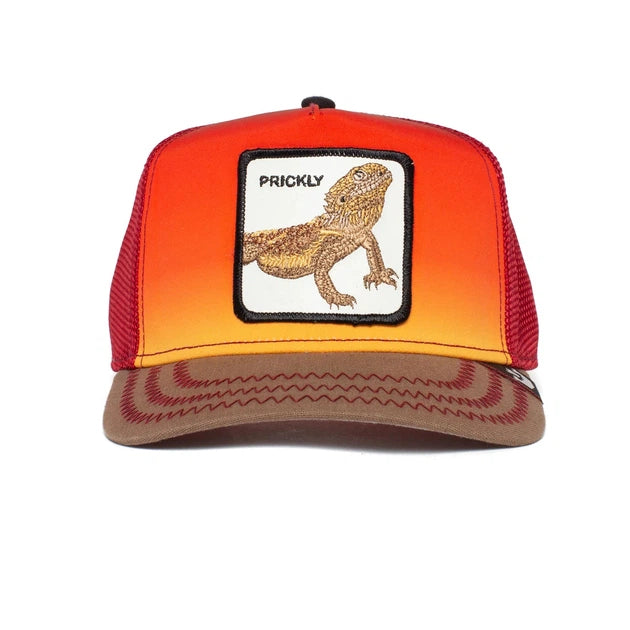 Goorin Bros Animal Farm PRICKLY One size