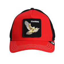 Baseball Cap Goorin Bros. The Soaring Bird N: 00353