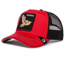 Baseball Cap Goorin Bros. The Soaring Bird N: 00353