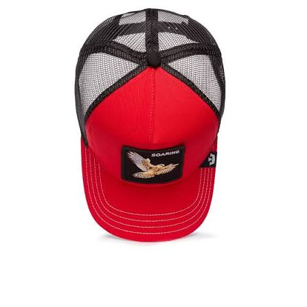 Baseball Cap Goorin Bros. The Soaring Bird N: 00353