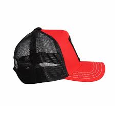 Baseball Cap Goorin Bros. The Soaring Bird N: 00353